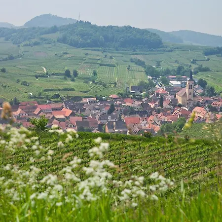 Braviscasa - Ferienresidenz Stadttor Endingen Apartman